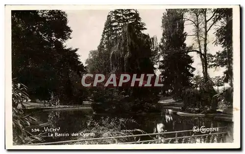 Ansichtskarte AK Vichy Le Bassin Des Cygnes