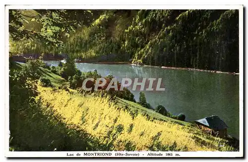 Cartes postales Lac de Montriond