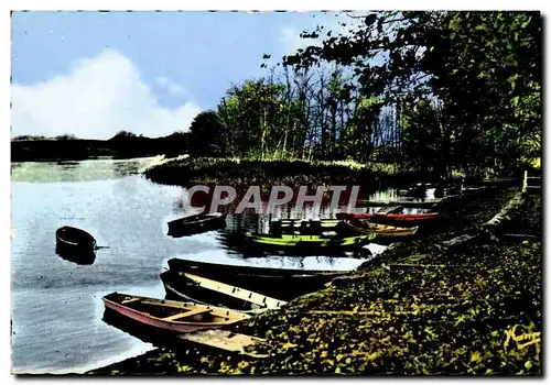 Cartes postales Les Bords Du Loiret Terre Blanche