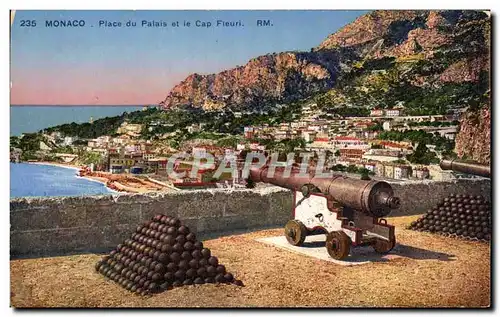 Cartes postales Manaco Place du palais et le Cap Fleuri