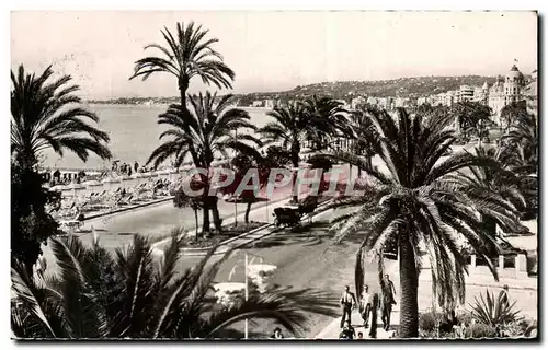 Cartes postales La Cote D&#39Azur Nice La Promenade des anglais Palmiers