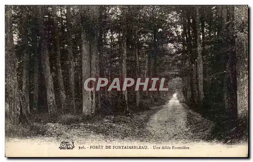 Ansichtskarte AK Foret de Fontainebleau Une Allee Forestiere