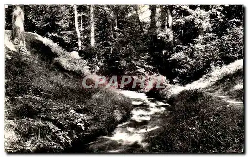 Cartes postales Divonne les Bains La Divonne Pres de sa Source