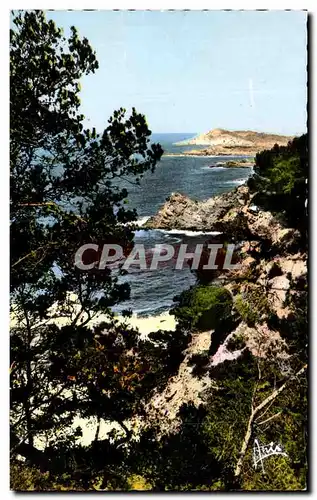 Cartes postales Cote d'Azur Le Brusc Echappee sur le Gaou