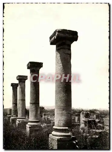 Ansichtskarte AK Volubilis Facade du Palais dit de Gordien Maroc