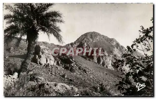 Cartes postales Ain Salah Tadjmont Alger