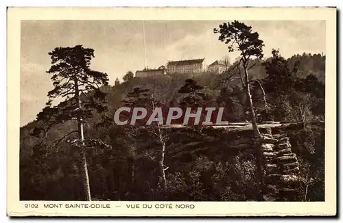 Cartes postales Mont Sainte Odile Vue De Cote Nord