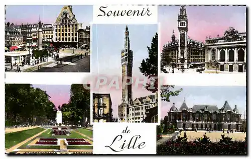 Cartes postales Souvenir de Lille