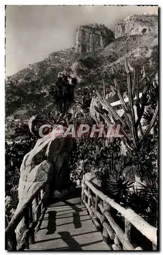 Ansichtskarte AK Jardin Exotique De Monaco Un Coin du Jardin