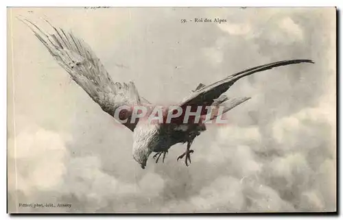 Cartes postales King of the Alps Eagle bird