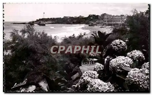 Ansichtskarte AK Biarritz Les Hortensias et vue sur le Phare