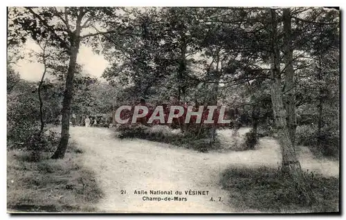 Cartes postales Asile Nationat du Vesinet Champ de Mars (animee)