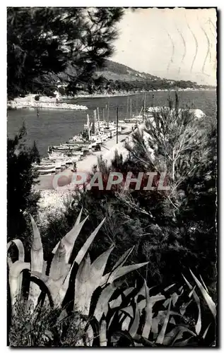 Cartes postales moderne Carqueiranne Le Port des Salettes