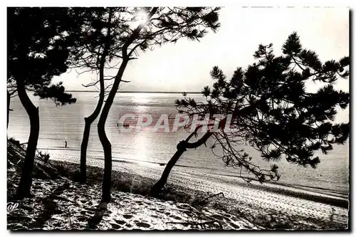 Ansichtskarte AK Bassin D&#39Arcachon Coucher de Soleil