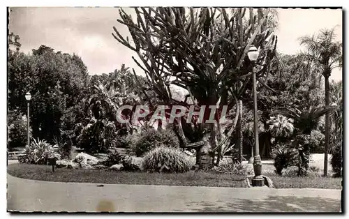 Cartes postales Monte Carlo Le Parc des Boulingrins