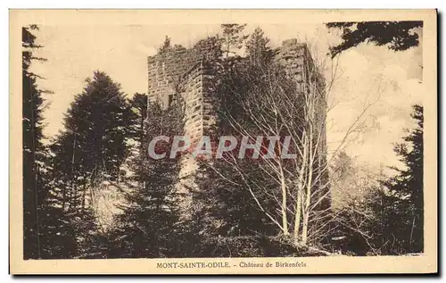 Cartes postales Mont Sainte Odile Chateau de Birkenfels