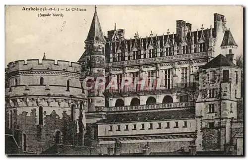 Cartes postales Amboise Le Chateau