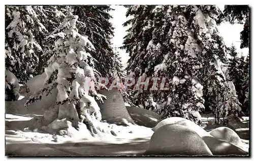 Ansichtskarte AK La Franche Comte Pittoresque La Foret En Hiver