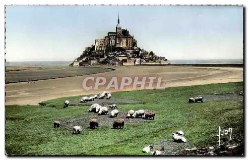 Ansichtskarte AK Le Mont Saint Michel Les Moutons