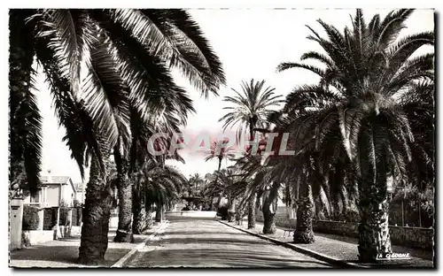 Cartes postales Hyeres L'Avenue Godillot