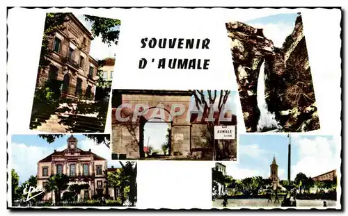 Cartes postales Souvenir D&#39Aumale