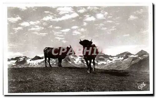 Cartes postales Pyrenees Ocean Luchon Superbagneres Paturages sur le plateau et la chaine frontiere