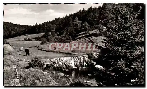 Ansichtskarte AK Massif De L&#39Aigoual Paturage Dans La Paisible Vallee Du Trevezel Sur La Route De Meyruels