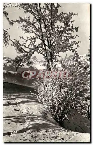 Cartes postales La Mont D&#39Arbois Et La Chaine Des Aravis