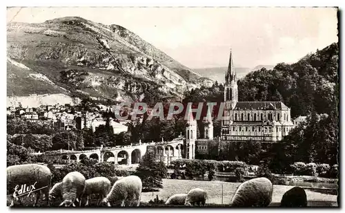 CPQM Lourdes La Basilique et le Pic du Jer Moutons