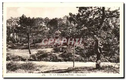 Ansichtskarte AK la baule les Pins Sous bois