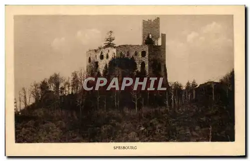 Cartes postales Spesbourg