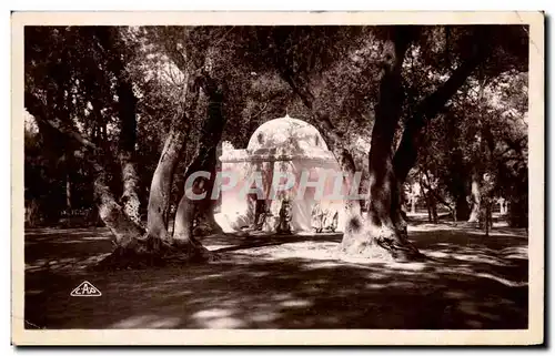 Cartes postales Blida Marabout au Boi Sacre Algerie