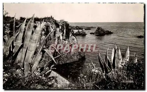 Cartes postales La Corniche D&#39or Les Rochers Rouges