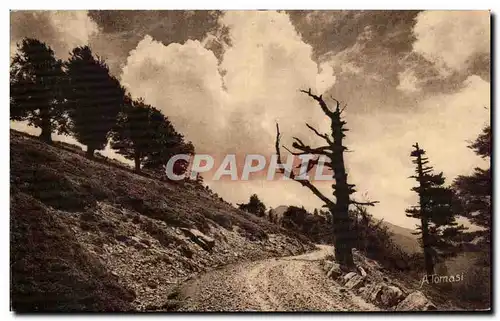 Ansichtskarte AK Col de Vergio Corse Corsica