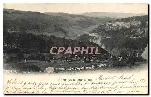 Cartes postales Environs du Mont Dore Vaches