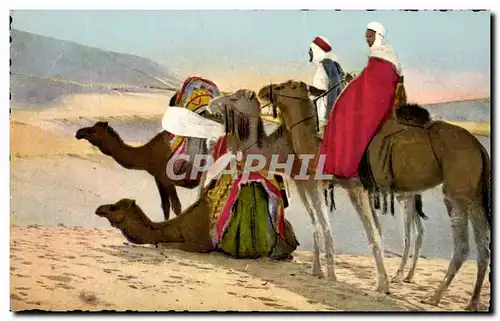 Cartes postales Scenes Types D&#39Afrique du Nord Vers le Sud Chameau