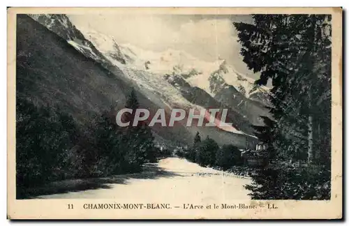 Cartes postales Chamonix Mont Blanc L'Arve et le Mont Blanc