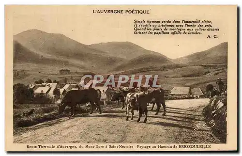 Ansichtskarte AK Hameau de Bressouleille Vaches Auvergne