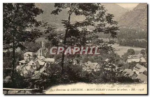 Cartes postales Environs de Luchon Mont Auban A Travers les Arbres