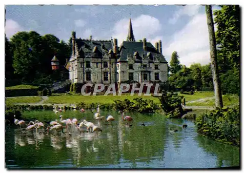 Cartes postales moderne Parc Zologique De Cleres Le Chateau Et Les Flamants Roses Zoo