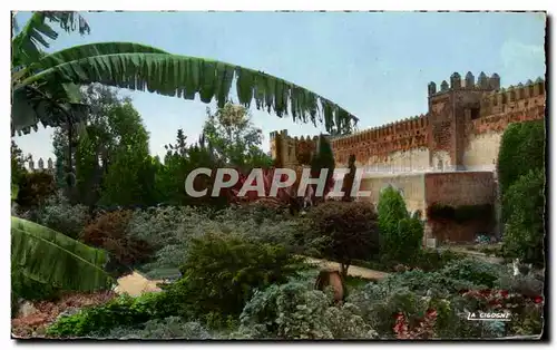 Cartes postales Rabat Le Jardin des Oudayas Maroc