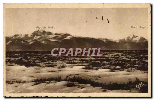 Cartes postales Lannemezan Le Pic Du Midi Et La Montaigu vu du plateau