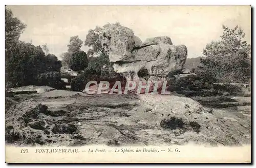 Ansichtskarte AK Fontainebleau La Foret Le Sphinx des Druides