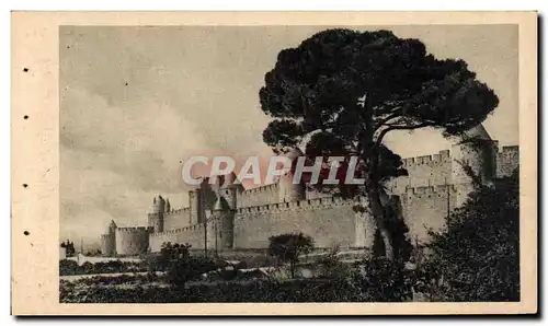 Cartes postales Cite De Carcassonne Front Sud