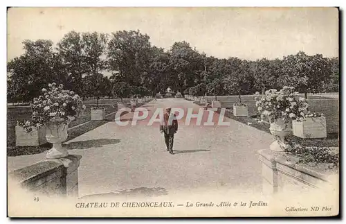 Cartes postales Chateau De Chenonceaux La Grande Allee Les Jardins