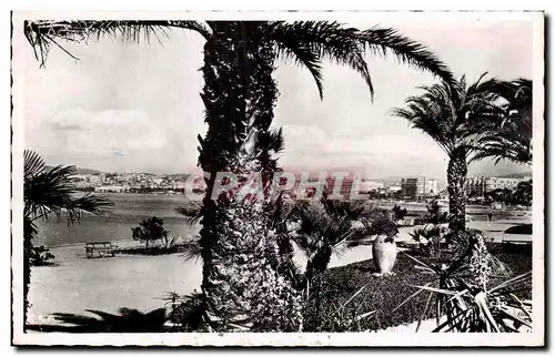 Cartes postales Cannes Vue Prise Des Nouveaux Jardins De La Croisette