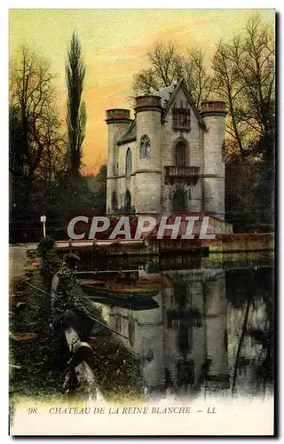 Cartes postales Chateau De La Reine Blanche