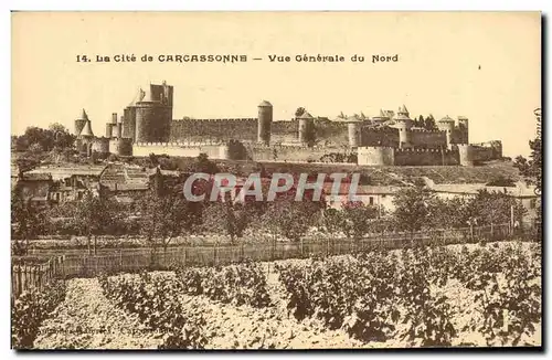 Cartes postales la Cite de Carcassonne Vue cenerale du Nord
