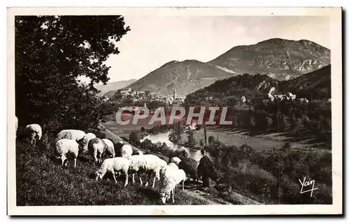 Cartes postales Lourdes La Vallee et le Pic du Jer Moutons