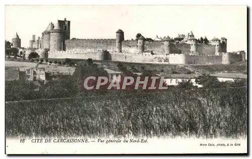 Cartes postales La Cite de Carcassonne Vue Generale du Nord Est